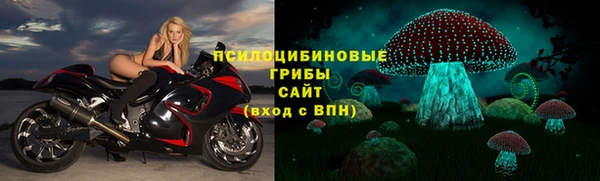 мдпв Армянск