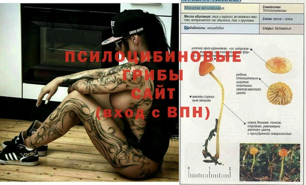 PSILOCYBIN Арсеньев