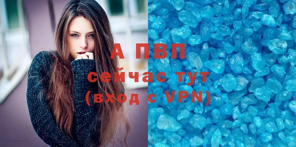 стафф Аркадак