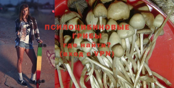 PSILOCYBIN Арсеньев