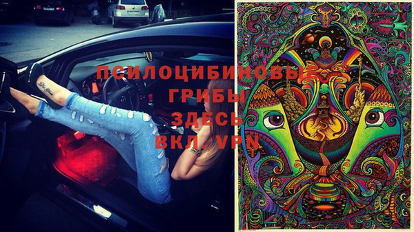 стафф Аркадак