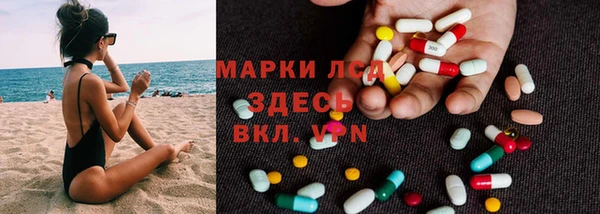 стафф Аркадак