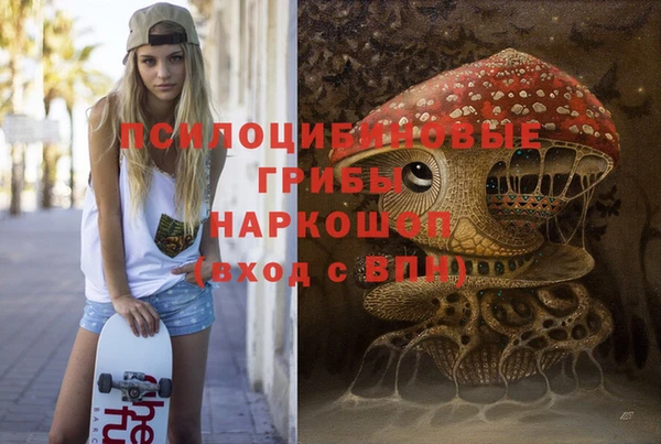 стафф Аркадак